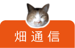 畑通信