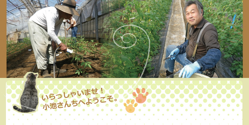 小池さんちの農作業風景